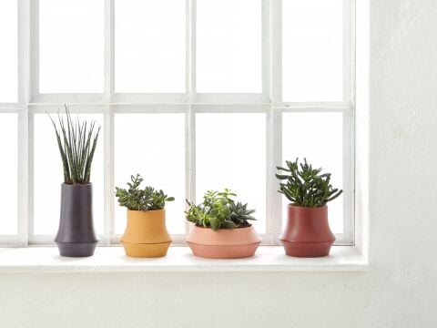 Volver Saksı Dar Uzun Yeşil