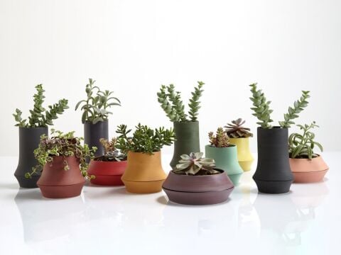 Volver Saksı Dar Uzun Yeşil