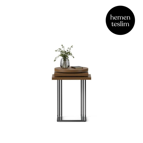 Bremen Zigon Sehpa 3'lü Set Teak Laminant Epoksi Ayak