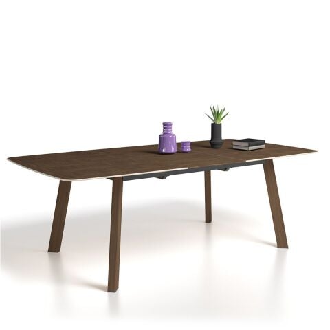 Irıs Ahsap Masa S1 Tbrs232Ex Smoked Meşe