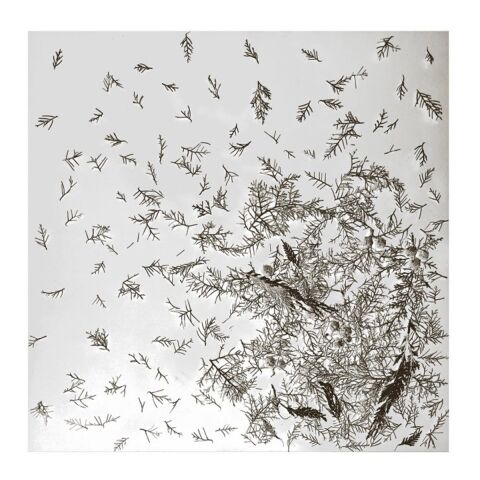 Kış Eşarp 140'' %100 İpek