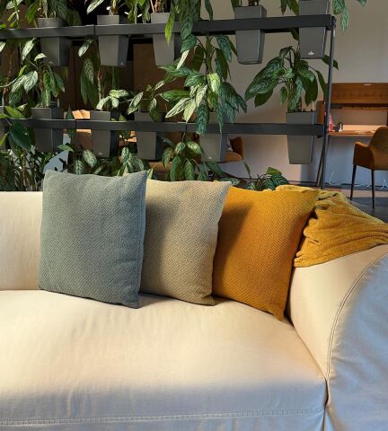 Cushion Yastık 50x50 Gd Coda