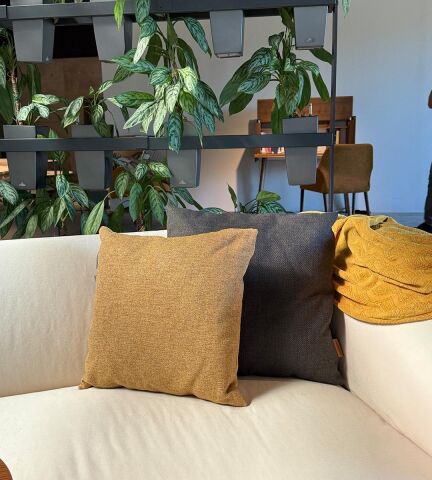 Oscar 50x50 Minder Antares