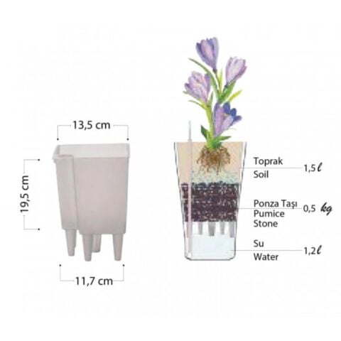 Angolo Siyah Akıllı Saksı