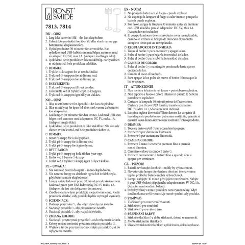 WO CAPRİ MASA LAMBASI USB SİYAH