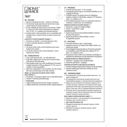 WO BIARRITZ MASA LAMBASI USB GÜMÜŞ